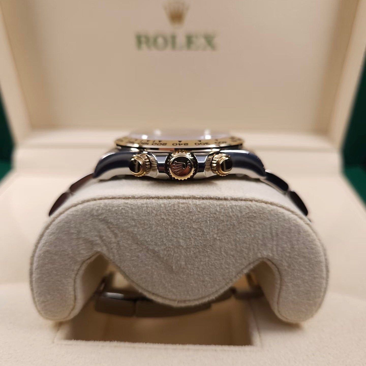 Rolex 126503-0004 New Gold Daytona