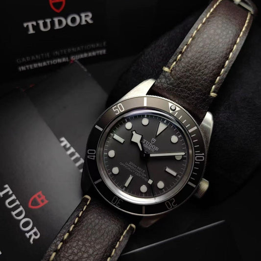 Tudor Biwan 79010SG-0001