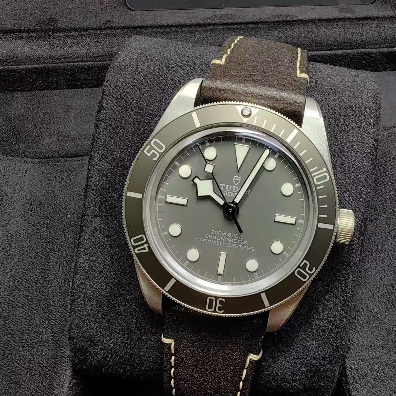 Tudor Biwan 79010SG-0001