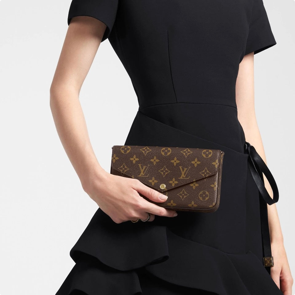 LOUIS VUITTON Felicie Pochette